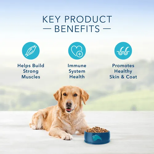 BLUE Life Protection Formula Chicken & Brown Rice Recipe Dry Dog Food