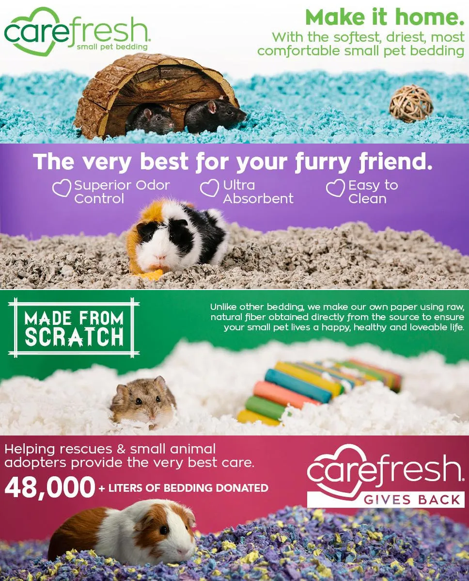 Carefresh Small Pet Bedding Sea Glass 10L