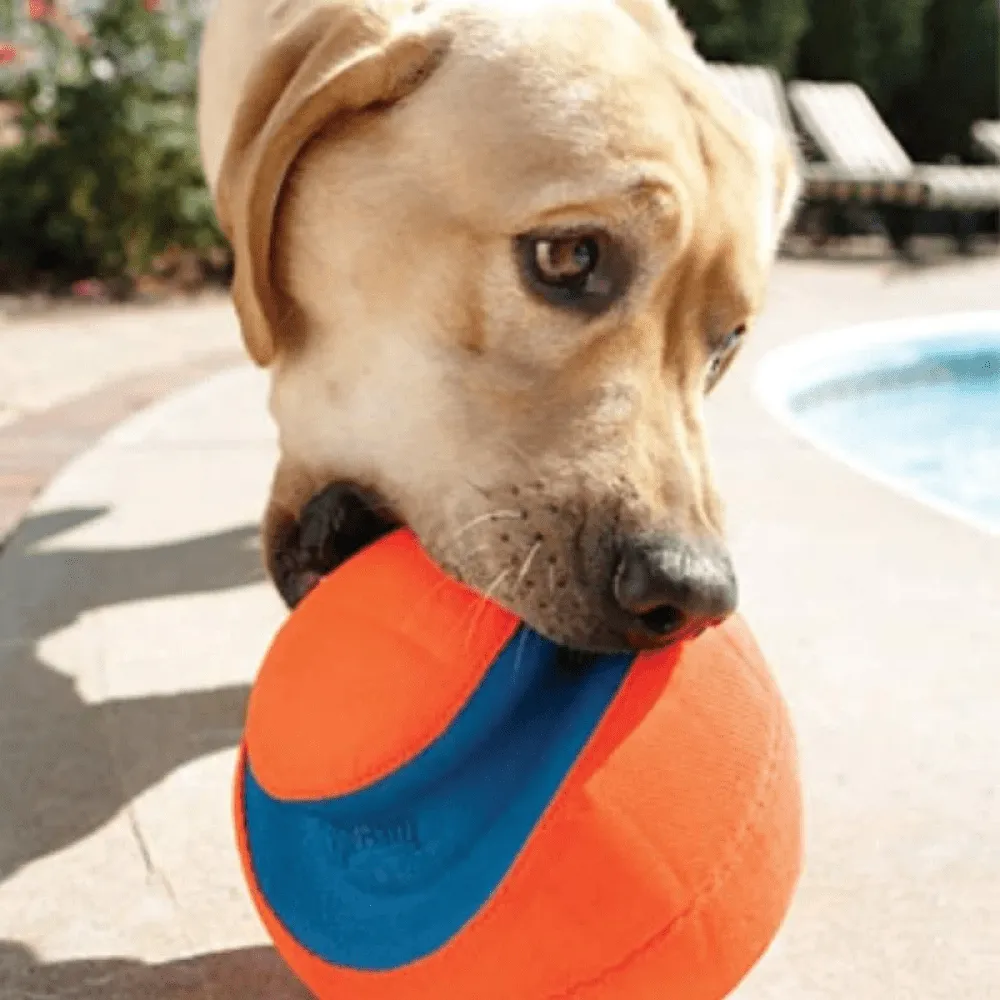 Chuckit! Kick Fetch ball Toy for Dogs (Orange)