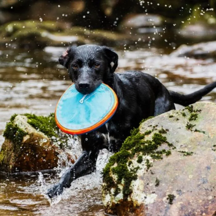 Chuckit - Paraflight Flyer Dog Toy