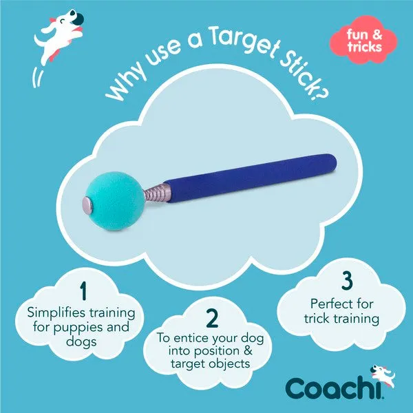 Coachi Target Stick Blue