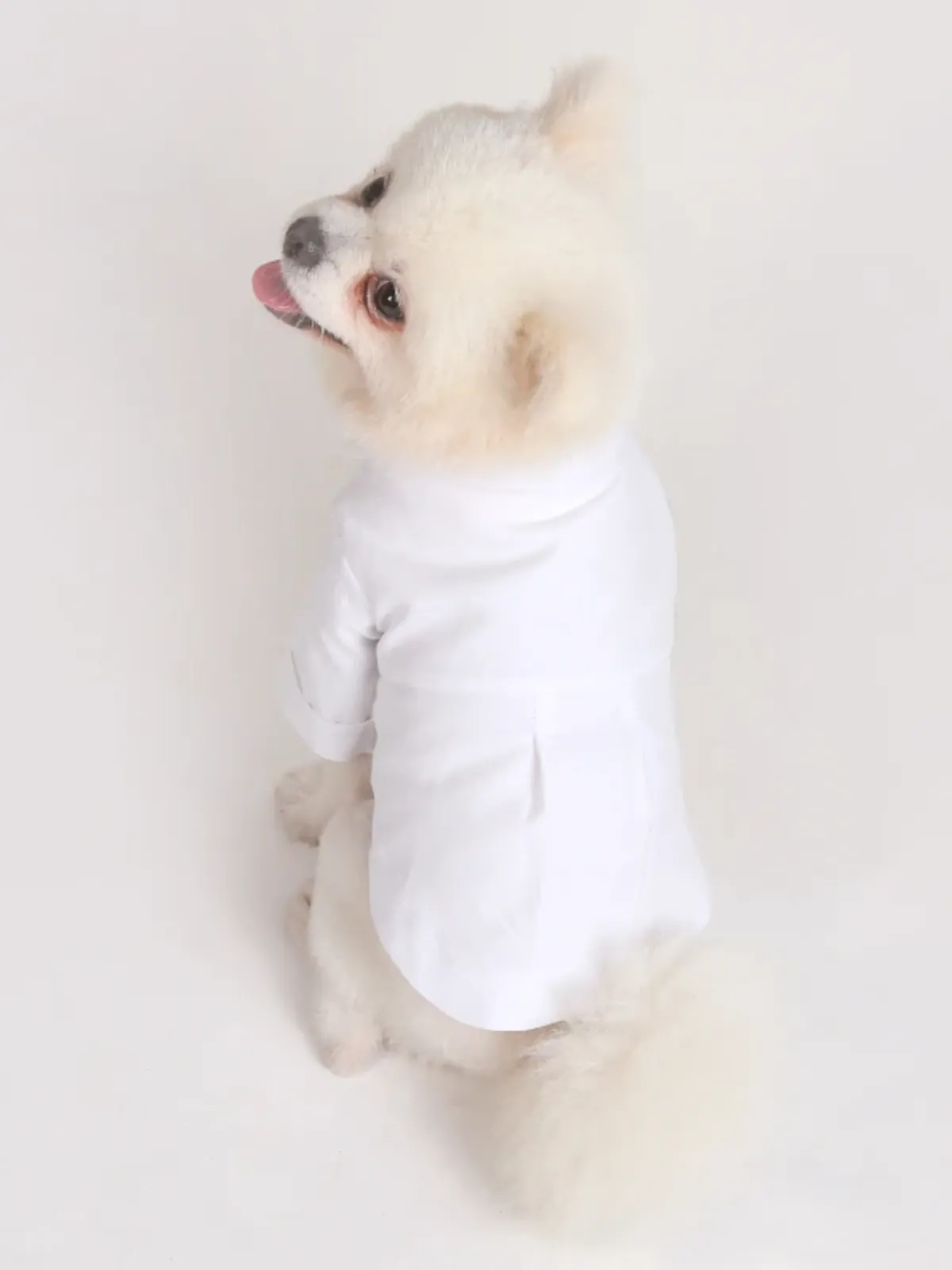 Dog Stylish White Button-Up Shirt