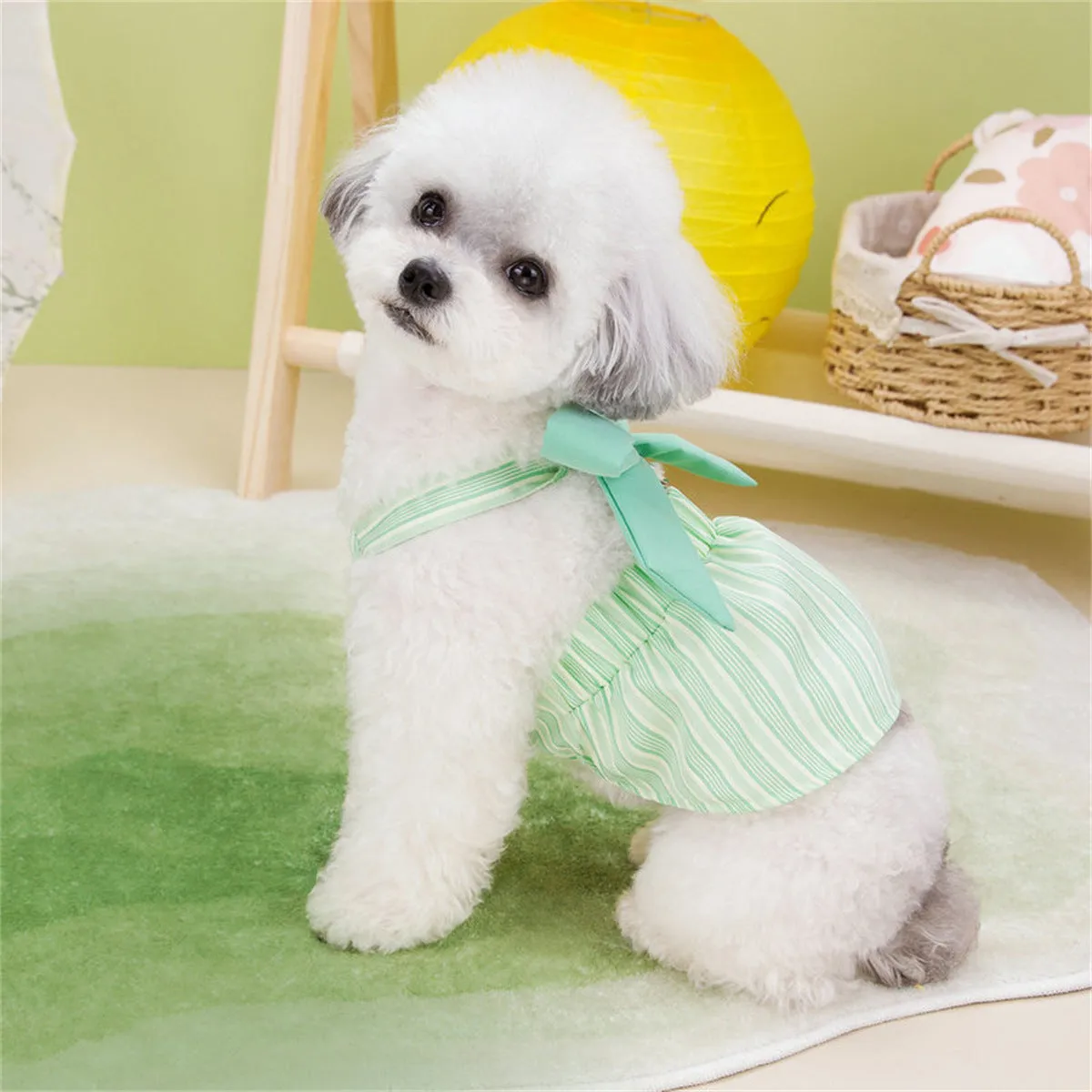 Elegant Lavender Striped Dog Dress with Harness | Comfortable & Stylish Pet Clothing