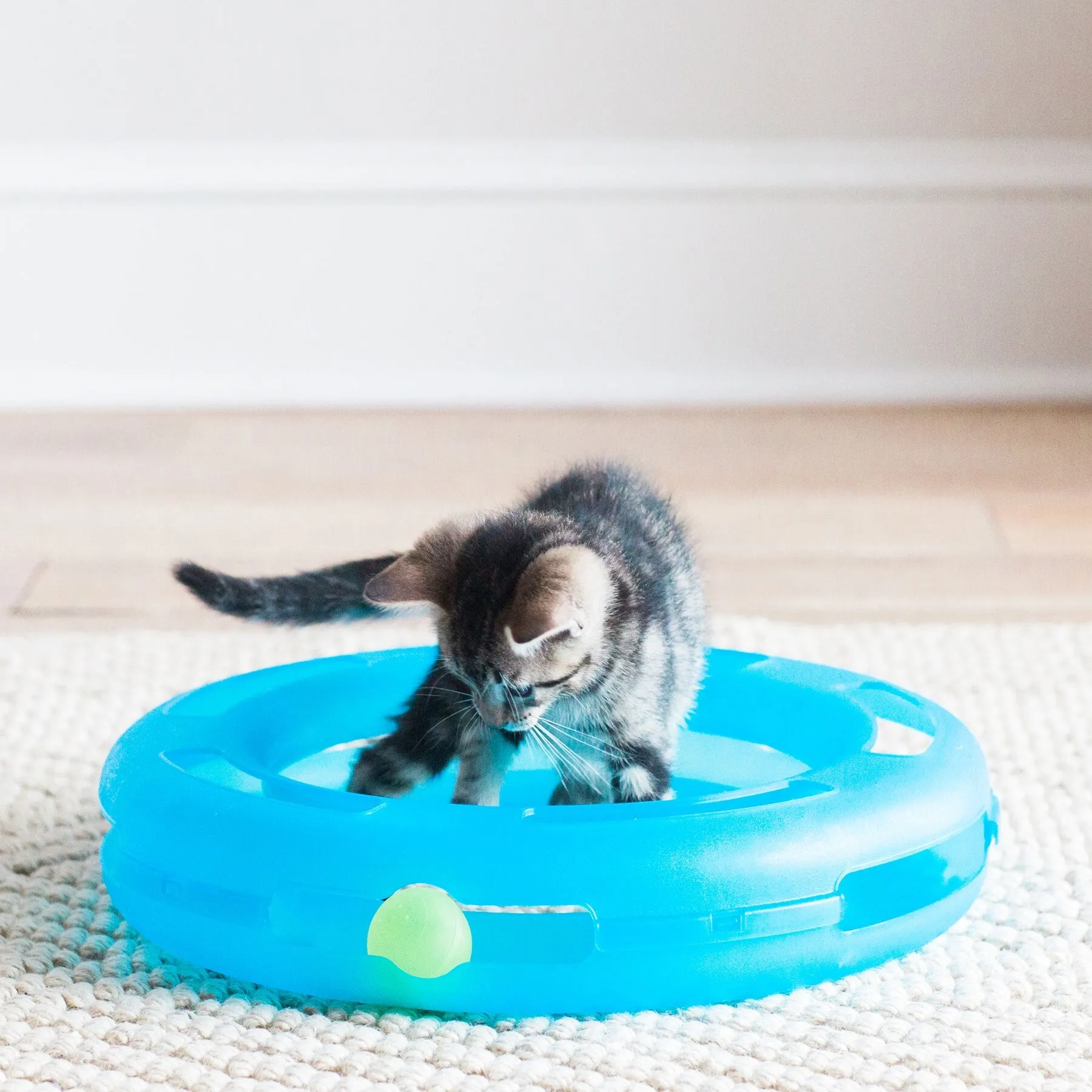 FAT CAT Crazy Circle Cat Toy