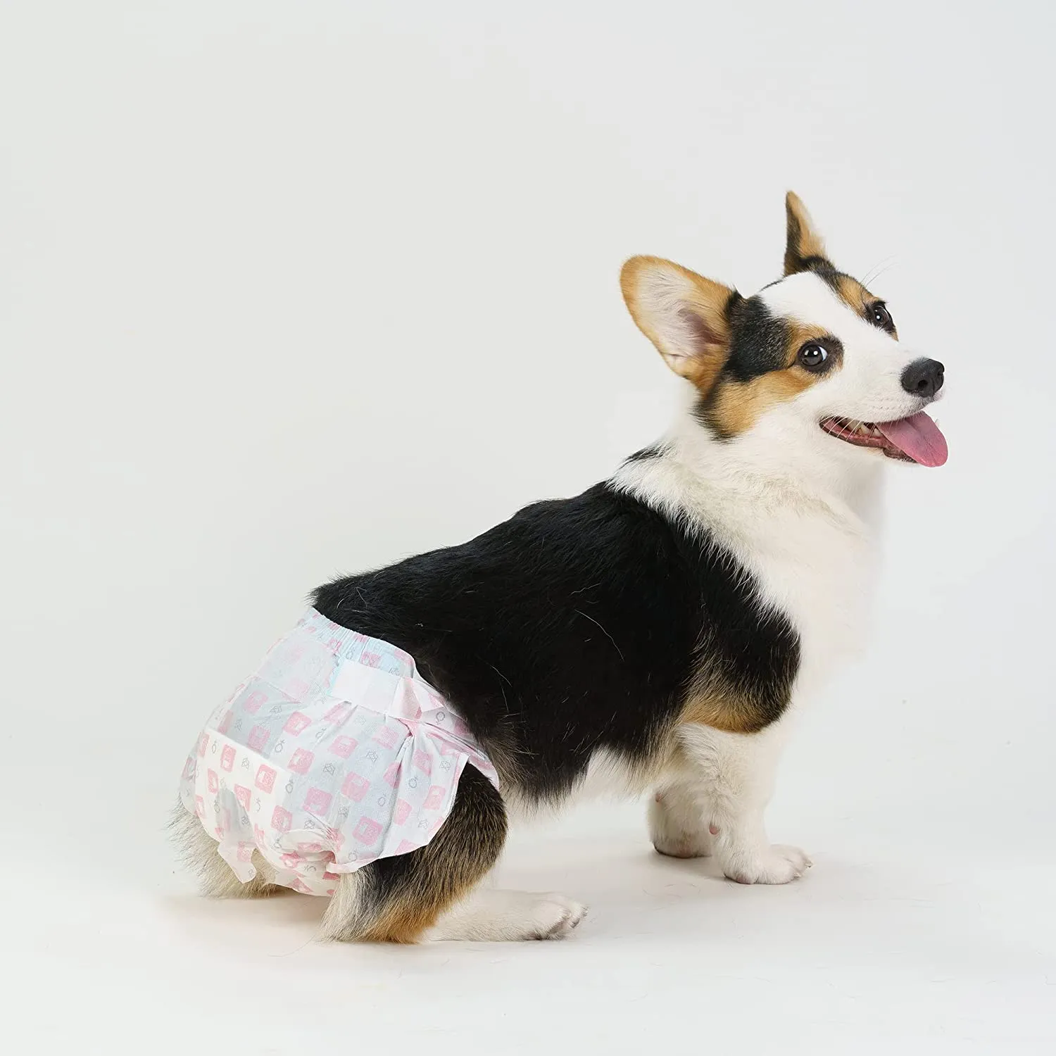 FOFOS Diaper Female Dog