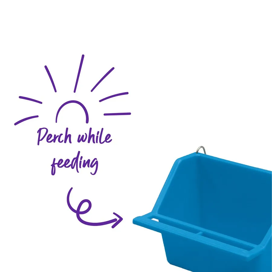 Kazoo Rectangular Feeder 2 Pack