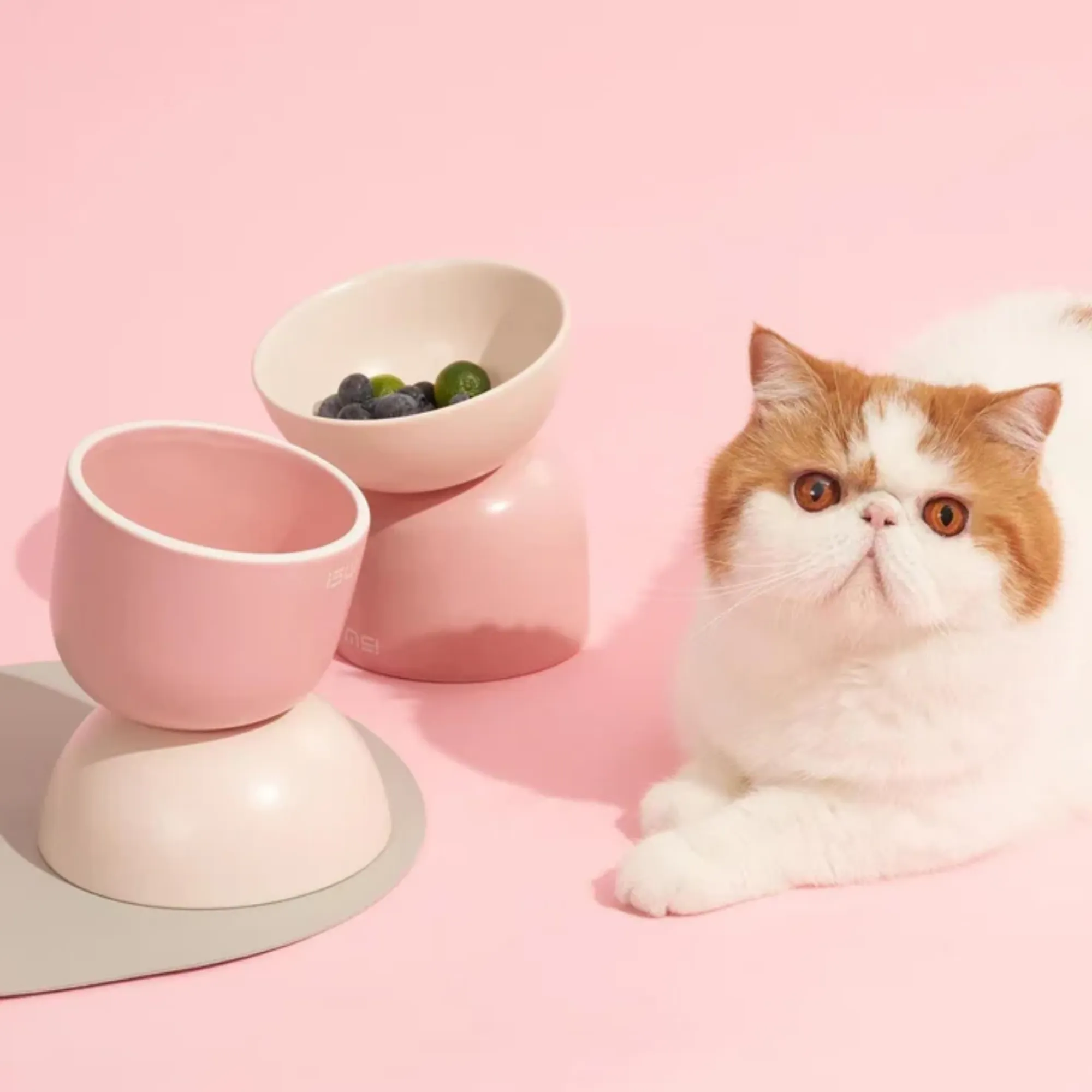 Makesure Sugar Bean Ceramic Double Pet Bowl Pink