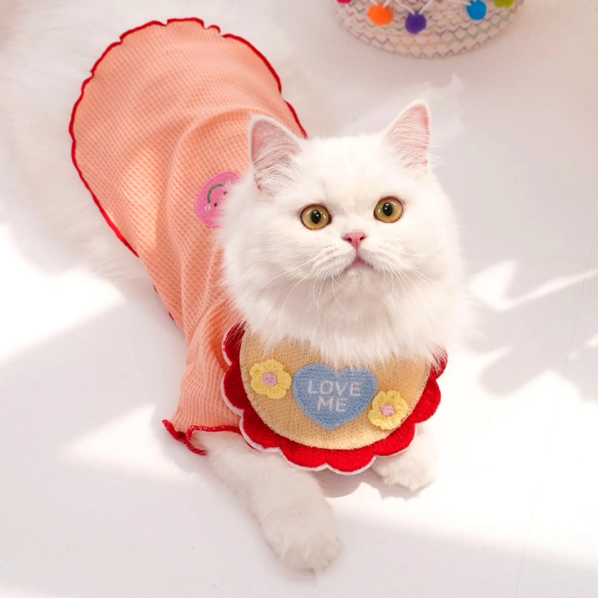 Mokka - Embroidered Pet Bib