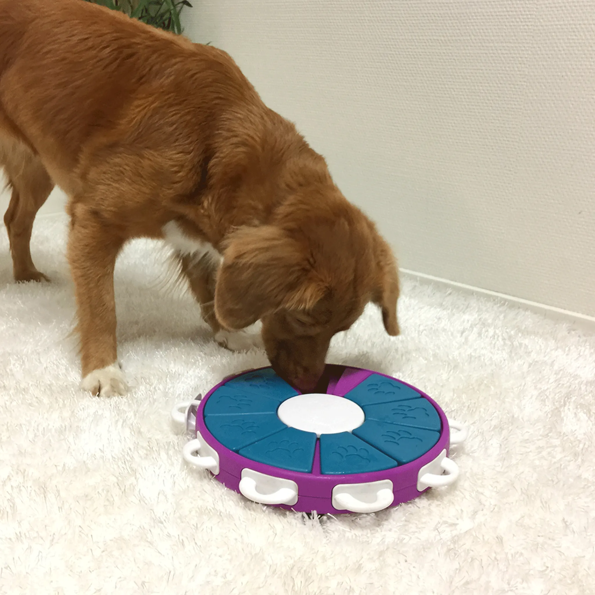 Nina Ottosson Advanced Twister Dog Puzzle