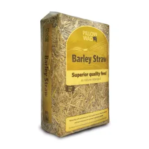 Pillow Wad Barley Straw 2kg