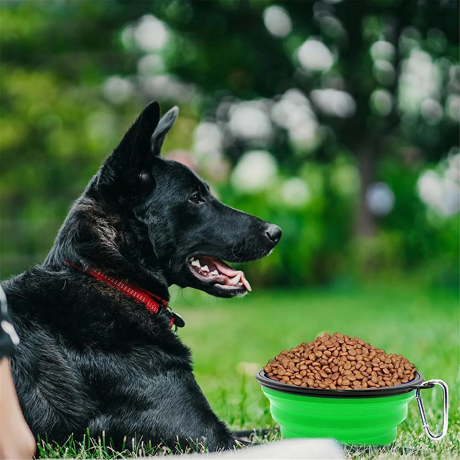 Portable Collapsible Dog Bowl