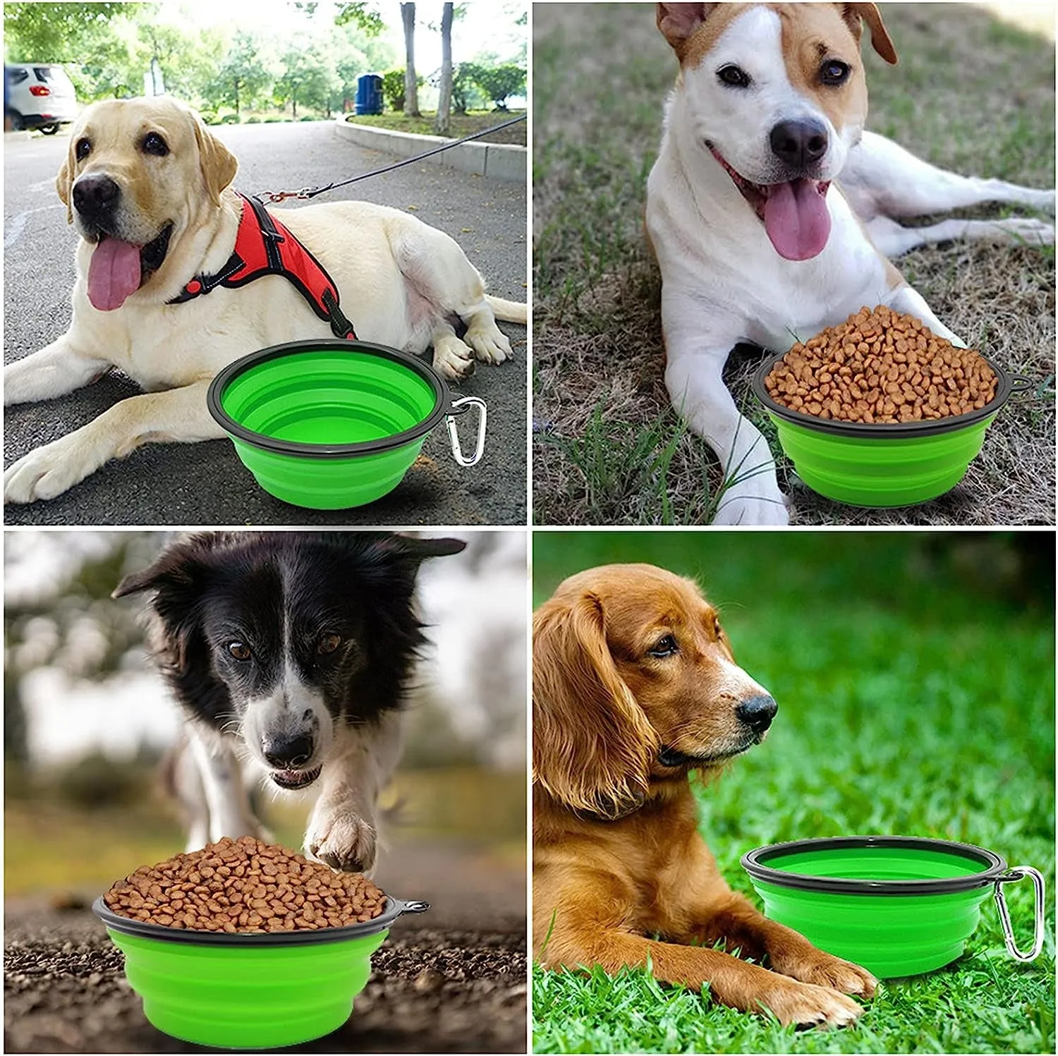 Portable Collapsible Dog Bowl