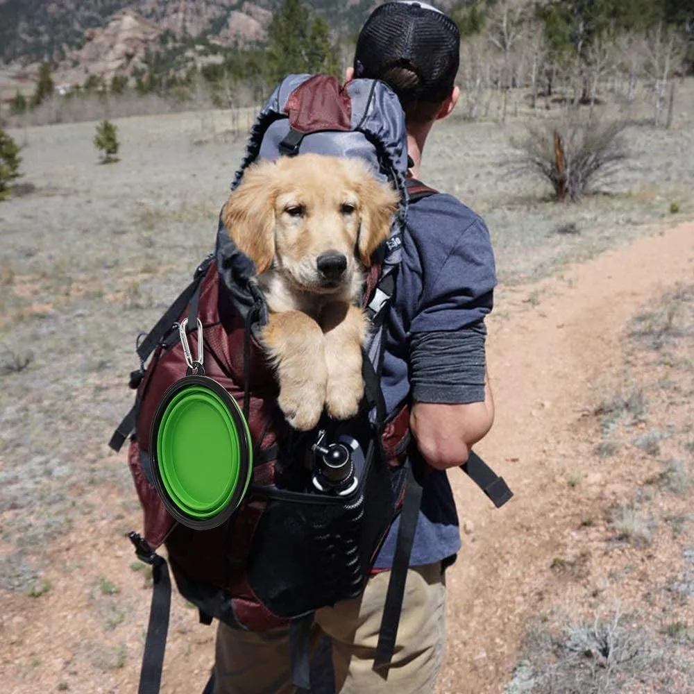 Portable Collapsible Dog Bowl