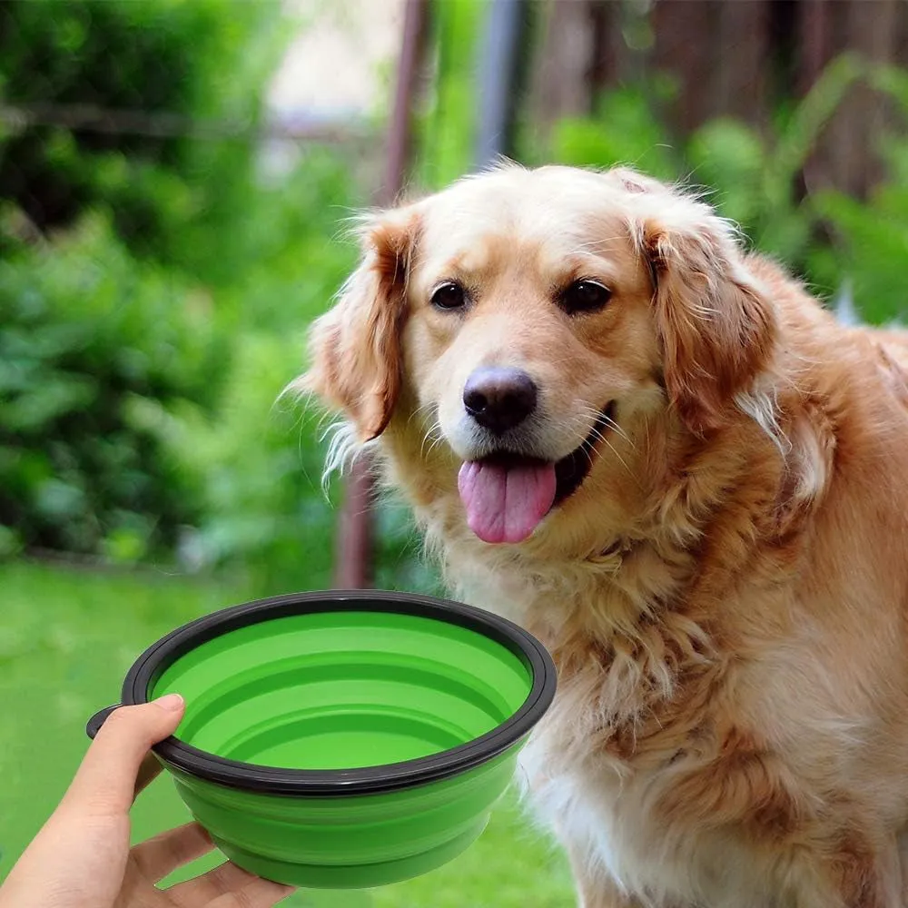 Portable Collapsible Dog Bowl