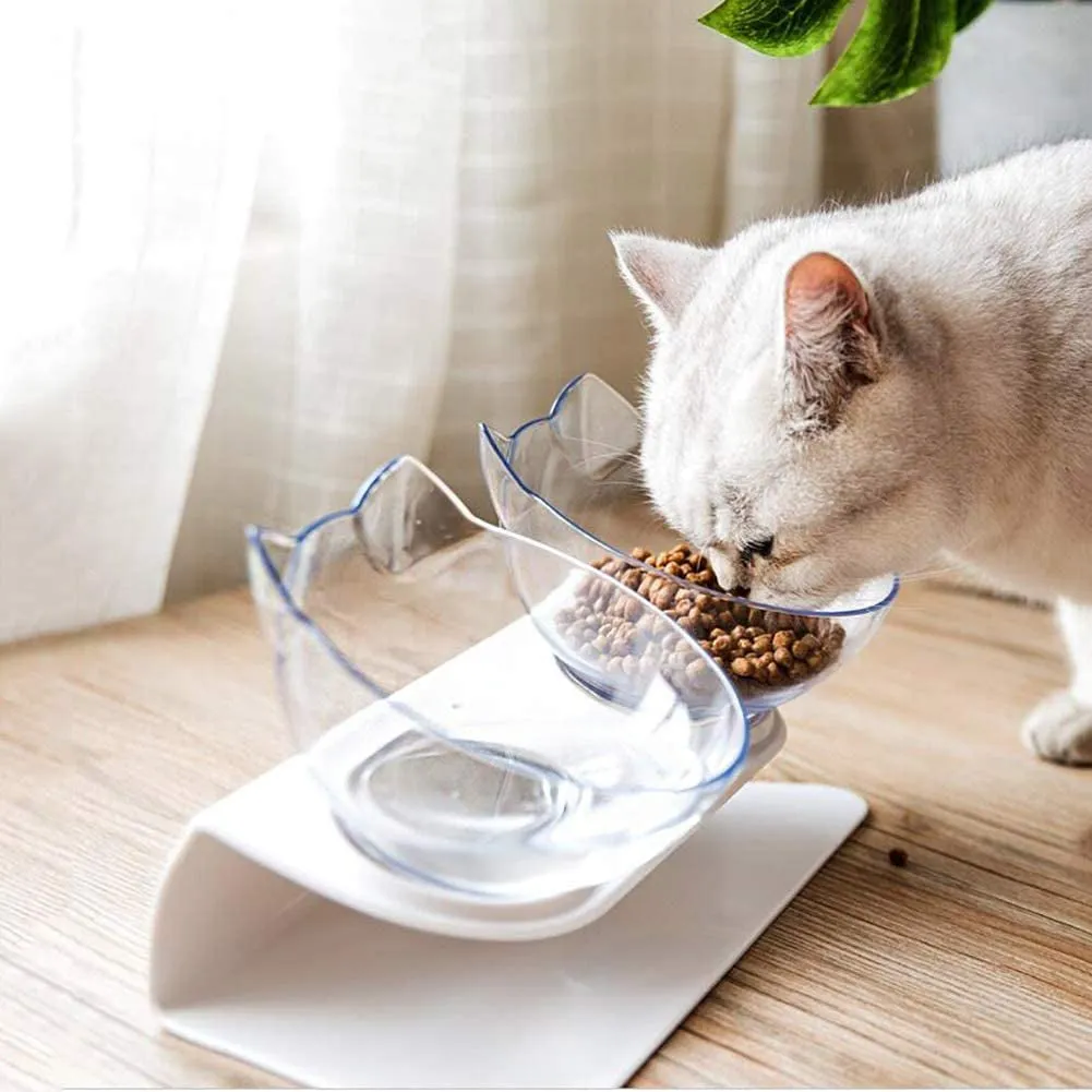 Raised Cat Bowls with 15° Tilt