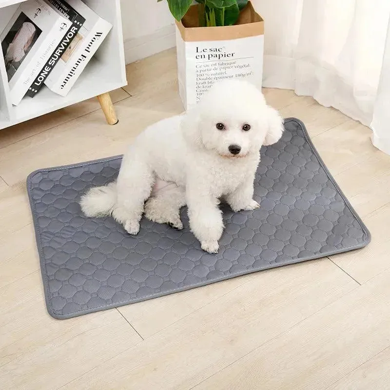 Reusable Dog Pee Pad Blanket Absorbent Diaper Washable Puppy Training Pad Pet Bed Urine Mat for Pet Car Seat Cover Pet Supplies