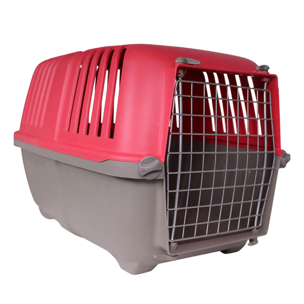 Spree Pet Carrier for Small Dogs and Cats, 22"