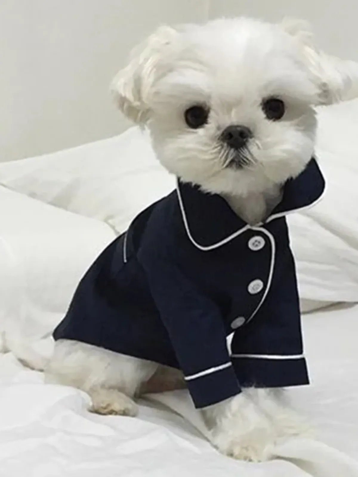 Stylish Button-Up Pajama Shirt for Dogs