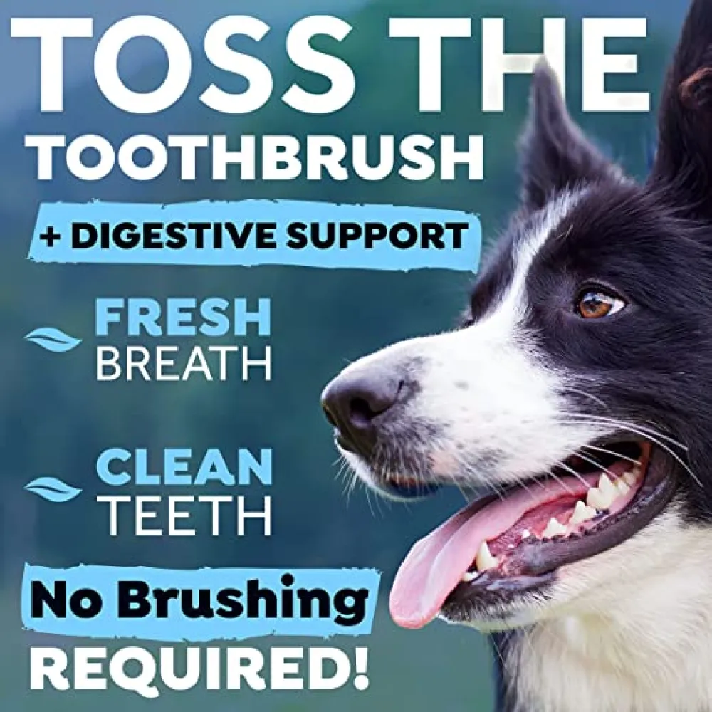 Tropiclean Fresh Breath Digestive Support Water Additive for Dogs